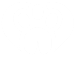 Paction Logo