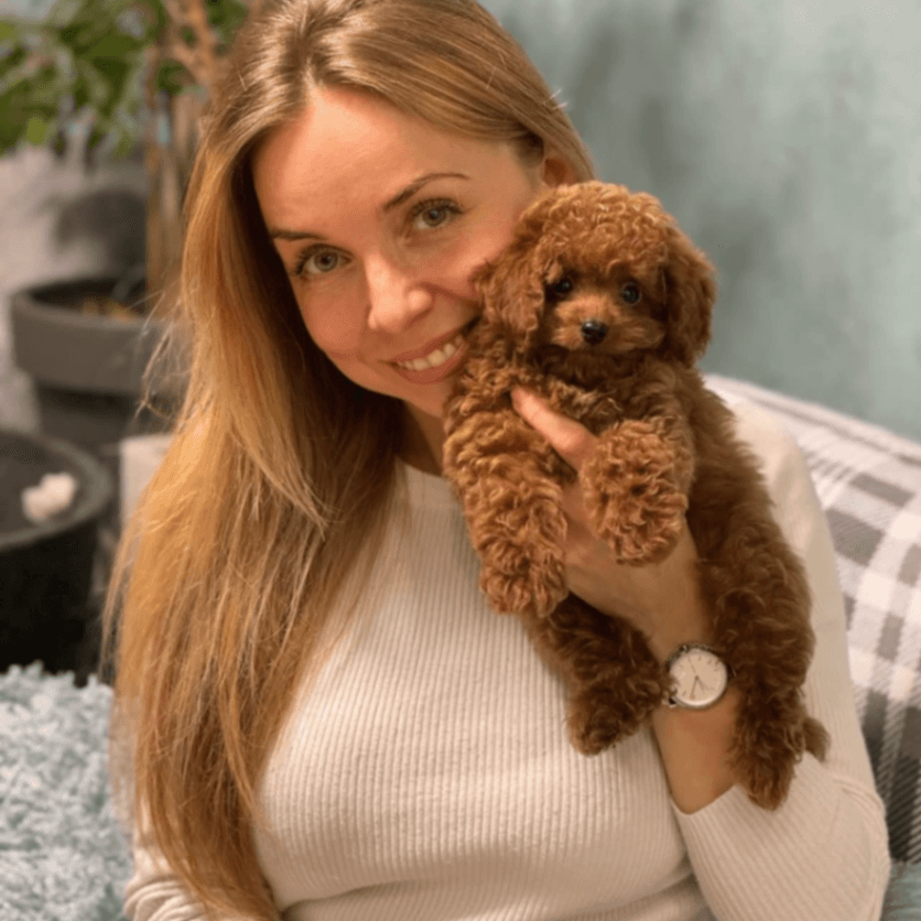 TINY TOY F1 HEALTH TESTED MALTIPOO PUPS