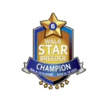 WALA Champion