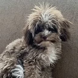 Martha B.'s profile photo