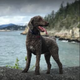 Peter H.'s profile photo