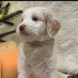 Allan J.'s profile photo