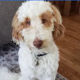 Cathy M.'s profile photo