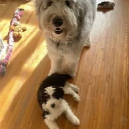 Tina H.'s profile photo