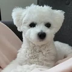 Stephanie F.'s profile photo