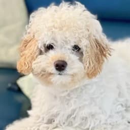 Tina & Family B.'s profile photo