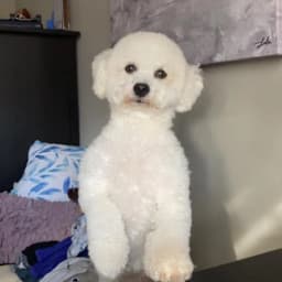 Shubhra N.'s profile photo