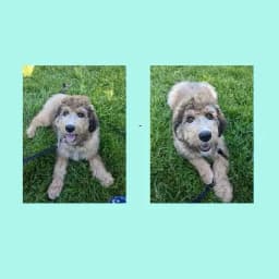 Allison & Craig B.'s profile photo