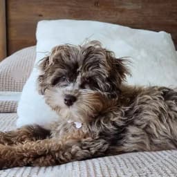 Jessica & Manny B.'s profile photo