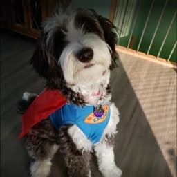 Brenda V.'s profile photo