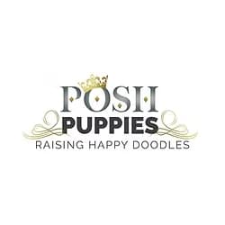Posh Puppies