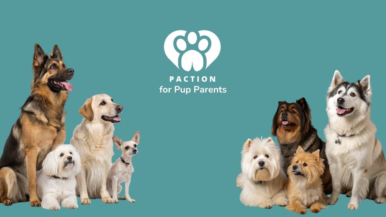 Pup parent video preview