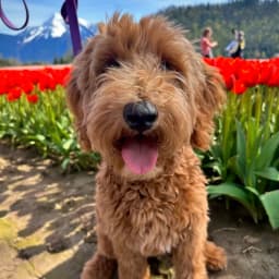 Amanda T.'s profile photo