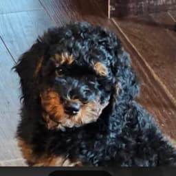 Leen B.'s profile photo