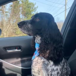 Lorraine D.'s profile photo