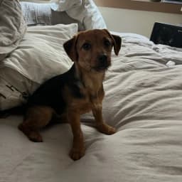 Yolanda D.'s profile photo