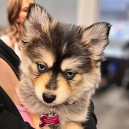 Keri R.'s profile photo