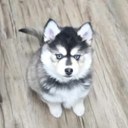 Colet G.'s profile photo