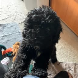 Kerry H.'s profile photo