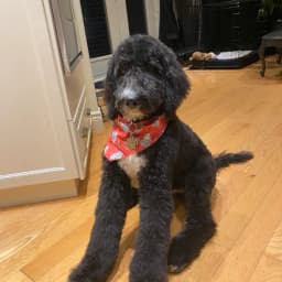 Michael M.'s profile photo