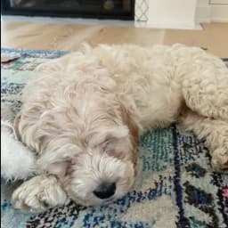 Stephanie P.'s profile photo