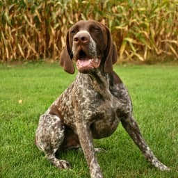 Olivia B.'s profile photo