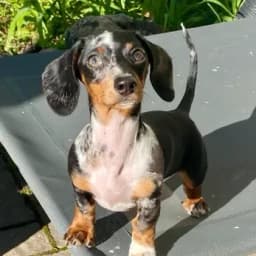 Chappell P.'s profile photo