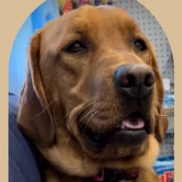 Debra M.'s profile photo