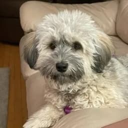 Michelle O.'s profile photo