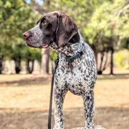 Keith B.'s profile photo