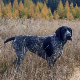 Emily E.'s profile photo