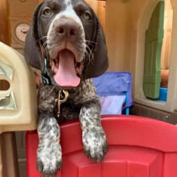 Julie A.'s profile photo