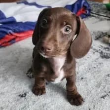 Reviewer T.'s profile photo