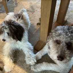 Salena R.'s profile photo