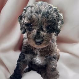 Anna I.'s profile photo