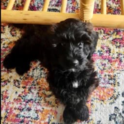 Jenn P.'s profile photo