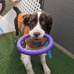 Michalla W.'s profile photo