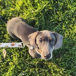 Kalu P.'s profile photo