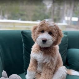 Natalie N.'s profile photo