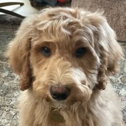 Krista B.'s profile photo