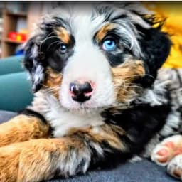 Corina B.'s profile photo