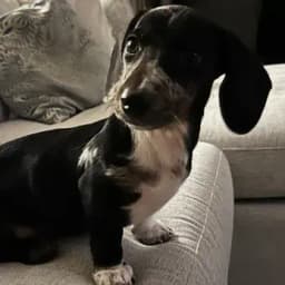 Mark D.'s profile photo