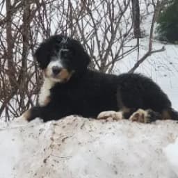 Tanya F.'s profile photo