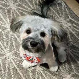 Kristen W.'s profile photo