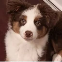 Hailey L.'s profile photo