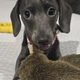 Ellie P.'s profile photo