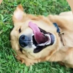 Yuhan Z.'s profile photo