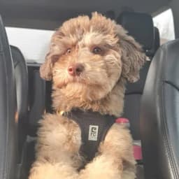 Dan H.'s profile photo