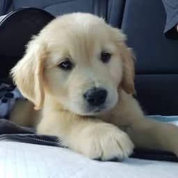 Janet W.'s profile photo