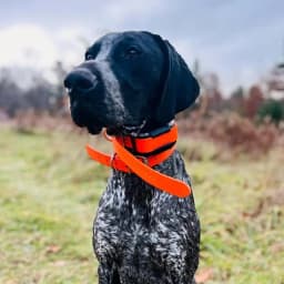 Dawn W.'s profile photo